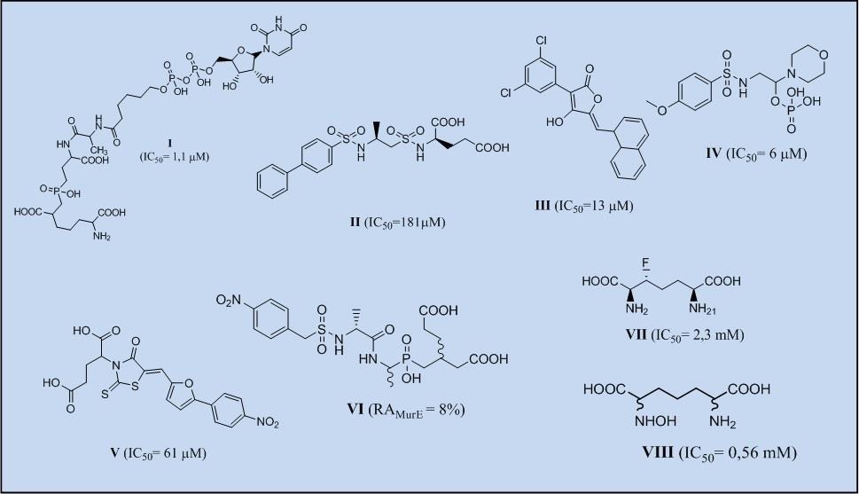 Nekateri fosfinati in β-sulfonamidopeptidi, ki so bili prvotno sintetizirani kot inhibitorji prehodnega stanja MurD, delujejo tudi kot substratni inhibitorji MurE (28).