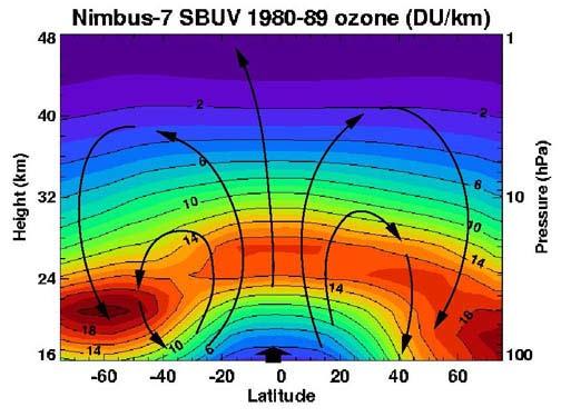 Zgodovina ozona Koncentracija ozona izmerjena s satelitom Nimbus 7. Vir: http://sl.wikipedia.