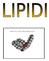 LIPIDI Lipidi so maščobe (pretežno estri).skupna lastnost vseh lipidov je da so netopni v vodi. Glavne značilnosti zgradbe lipidov so da imajo polarno