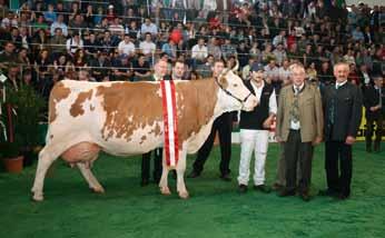 aprila, so obiskale delegacije rejcev lisaste pasme iz 25 držav, med njimi tudi predsednika evropske EVF in svetovne WSFF zveze rejcev lisaste pasme. Atrakcija razstave je bila krava LINDA AT 468.