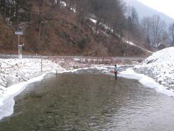 V manjšem obsegu so poplavljale rek Ljubljanica, Krka, Mestinjščica, Sotla in Dravinja. Večjih odstopanj od mesečnih karakterističnih pretokov ni bilo.