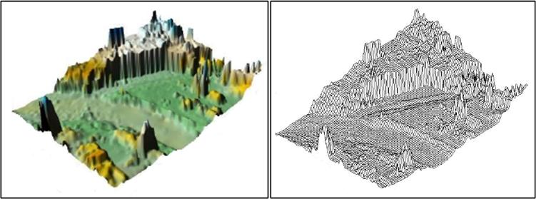 Rak, G. 2006. Uporaba prostorskih podatkov v analizi hidravličnih lastnosti vodotokov. 53 Na spodnjih slikah so prikazani digitalni modeli terena istega območja.