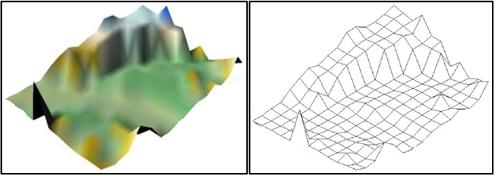 54 Rak, G. 2006. Uporaba prostorskih podatkov v analizi hidravličnih lastnosti vodotokov. Slika 18: Prikaz DMT in strukturne mreže DMT z velikostjo celice 15m.