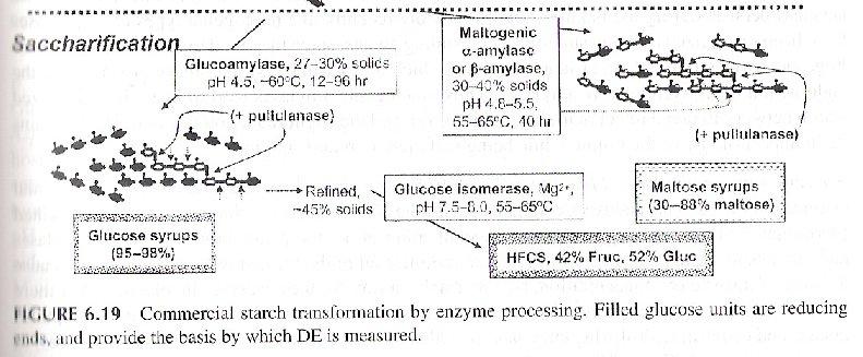 Nekatere pululanaze mikrobiološkega izvora imajo tudi -1 4 hidrolitično aktivnost Glukoamilaze (amiloglukozidaze): Hidrolizira molekuule glukoze vezane z -1 4 glikozidnimi vezmi z nereducirajočih