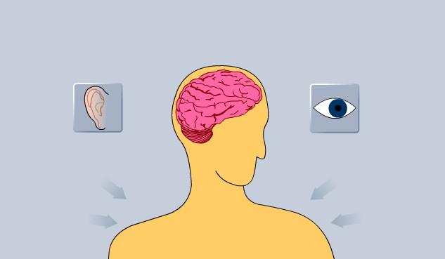 People Vision This animation reviews the parts of the eye and how
