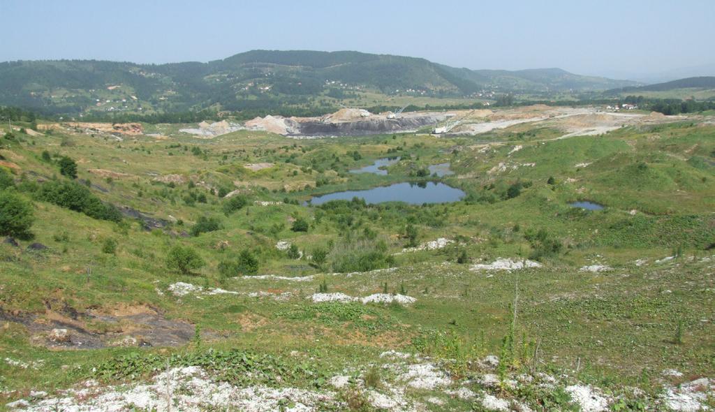 PREMOG IN ELEKTRIČNA ENERGIJA V Pljevaljski kotlini je najpomembnejše nahajališče premoga v Črni Gori.