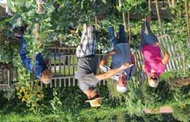 Ekološko vrtnarjenje Gain vrt Spet izobilje v Gainem vrtu Letošnje toplo poletje nam je prineslo veliko veselja z doseženimi rezultati dela.