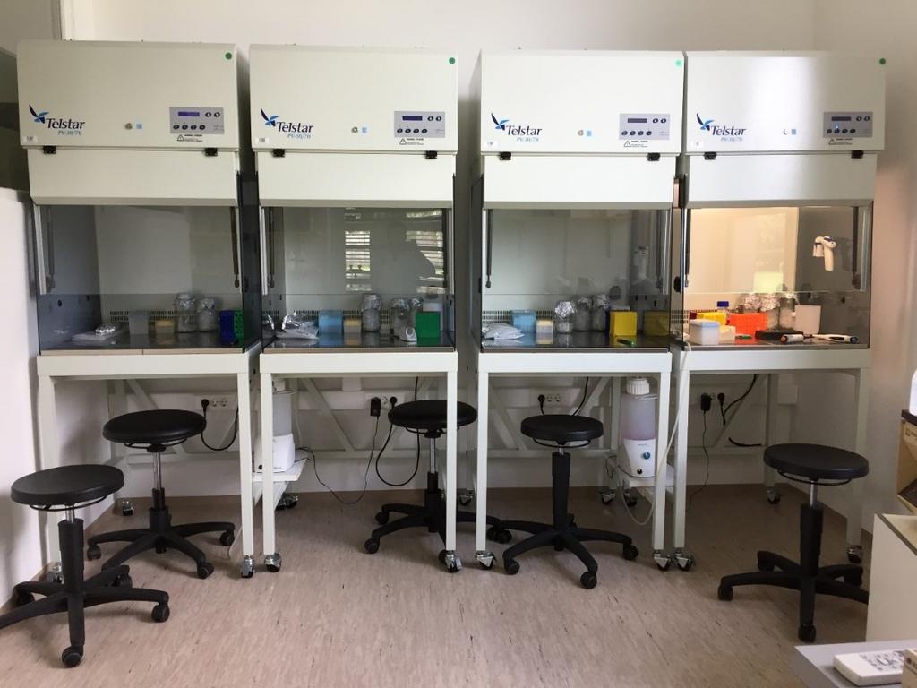 Slika 5: Laminariji v celičnem laboratoriju na Oddelku za zootehniko, Biotehniška fakulteta Ker celične kulture za svojo rast potrebujejo kontrolirane pogoje, jih gojimo v inkubatorju, in sicer
