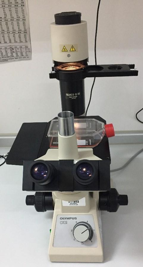 Slika 6: Invertni mikroskop v celičnem laboratoriju na Oddelku za zootehniko, Biotehniška fakulteta Pomemben in obvezen del opreme je tudi centrifuga, ki se uporablja predvsem pri presajanju celic
