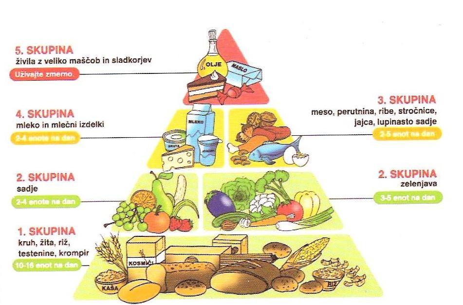 Slika 7. Uravnotežena prehranska piramida (Derviševič in Vidmar, 2011). Iz piramide ja razvidno, katerih živil naj bi zaužili največ in katerih najmanj.