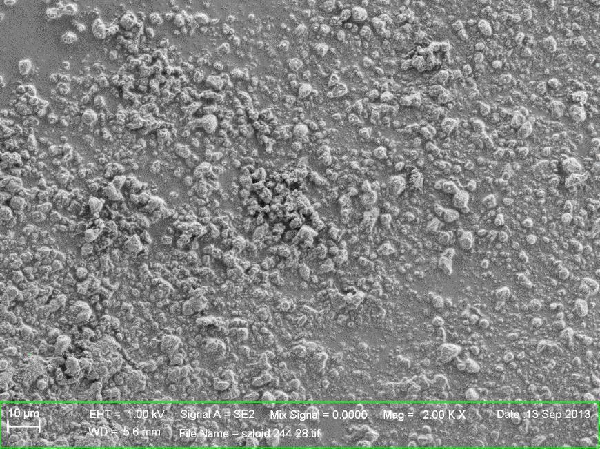 Slika 14: Elektronsko mikroskopska slika osnovnih delcev Syloida 244 FP. 4.