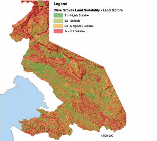 Risultati Adattabilità del territorio alla coltivazione dell olivo fattori del suolo L adattabilità del territorio alla produzione olivicola determinata attraverso i fattori del territorio dell area