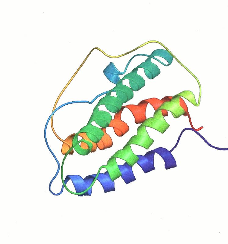 Biokemija Gen Gen za EPO se pri človeku nahaja na 7 kromosomu (7q11-q22), 4kb (vsebuje promotor, 5 eksonov in 4 introne in pospeševalec pod vplivom hipoksije (hypoxia-inducible enhancer).