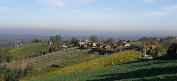 Vinogradniška kmetija Krampač 041 427
