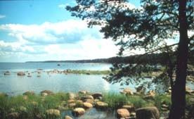 Estonija ima okoli 1400 jezer in 1500 otokov. 43 odstotkov površine pokrivajo gozdovi, kar je največ v Evropi. NARAVA Nizko valovito pokrajino Estonije so izoblikovali ledeniki.