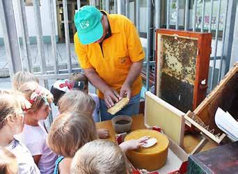 OSTALO 63 Dan odprtih vrat slovenskih čebelarjev Čebela nas spremlja skozi vse življenje. Kot otrokom nam je simbol pridnosti, varčnosti in skrbi za druge.