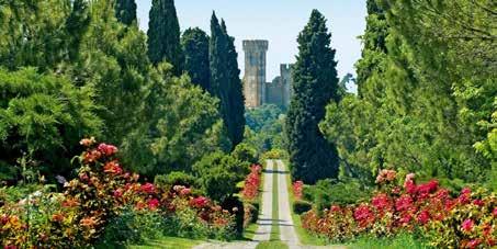 Sprehodili se bomo po mestecu Sirmione ob Gardskem jezeru, potem pa se odpravili v vrtni center Bussolengo pri Veroni.