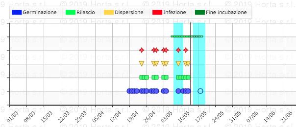 Graf 4: Analiza DSS (model Vite.net ) Peronospora (Plasmopara viticola (Berk. in M. A. Curtis) Berl.