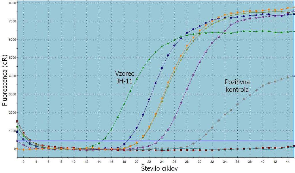 M. Ipavec: Določitev celotnega prašičje epidemične diareje z Ion Torrent sekvenciranja. 41 Slika 11: Grafični prikaz rezultatov metode RT-qPCR za dokaz virusa PED.