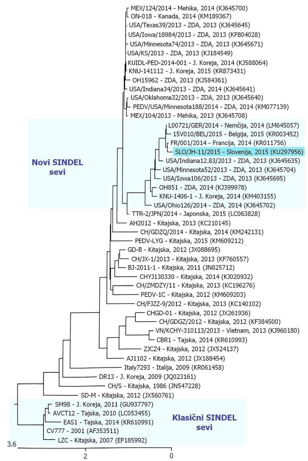 M. Ipavec: Določitev celotnega prašičje epidemične diareje z Ion Torrent sekvenciranja. 49 Slika 18: Primerjava celotnih genomov 49 sevov virusov PED.