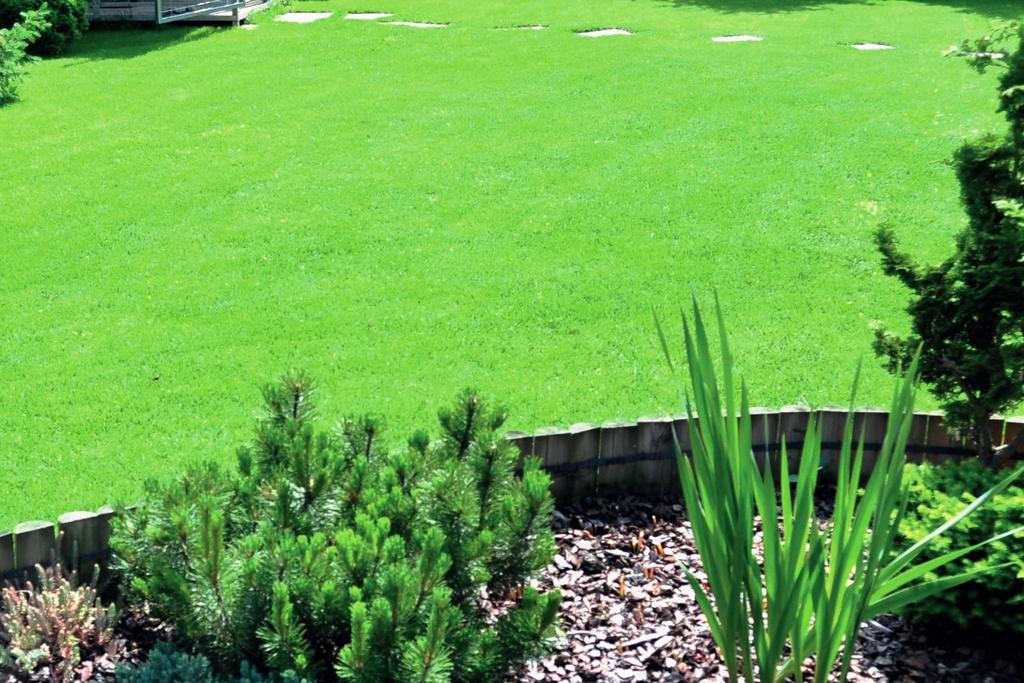 Hibridna okrasna TM OH SPECIAL Tvori gosti sestav travne ruše in je trpežno pohodna. Visoka vsebnost rdeče bilnice omogoča izjemno gostoto in lep videz.