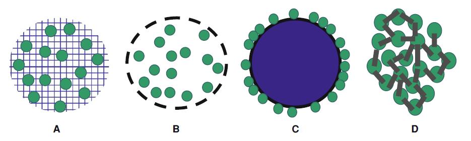 Slika 2-2: Imobilizacijske metode: A - ujetje encima, B - enkapsulacija encima, C - imobilizacija z nosilcem, D - zamreženje encima [11] 2.3.