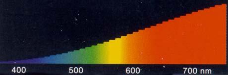 Navadna žarnica Barvni spekter vsebuje vse valovne dolžine, modre barve so slabo zastopane, povdarjene pa so