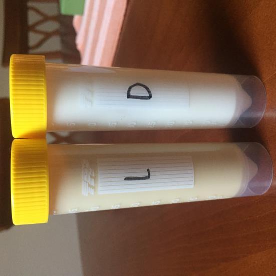 15 Vitamin E 15 Glicerilkaprilat 7,5 Voda 1152 Mlečna kislina (q. s.) 0,7 Eterično olje sivke (q. s.) 5,1 Slika 10: Testna (levo) in placebo (desno) emulzija (foto: E. Hudournik) 3.