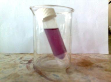 S hitrim testom smo določili trdoto vode 80-100 mg CaCO 3 /L. V mmol/l Ca jo izračunamo po enačbi (5): m/m [Ca 2+ ] = m/m [CaCO 3 ] (5) Izračunana trdota znaša 36,04 d = 6,4 mmol/l Ca 2+. 4.1.1 Eksperimentalno delo z hitrim testom WS-425B Slika 4 1 predstavlja določevanje prisotnosti E.