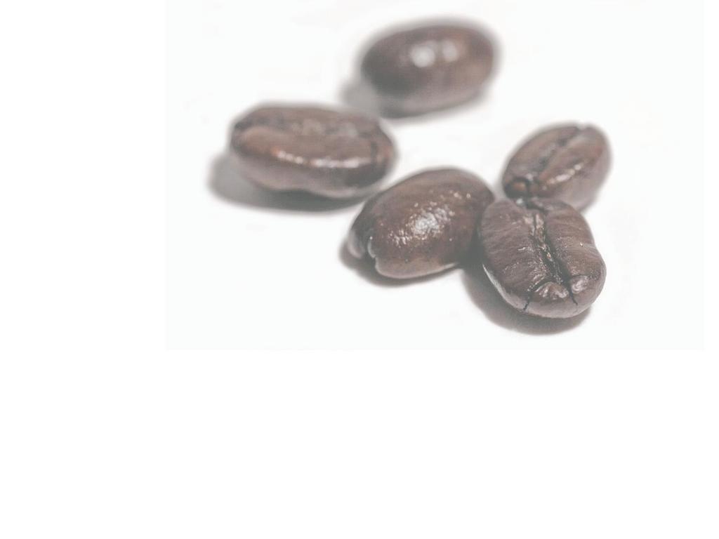KAKOVOST KAVE Odvisna je od tal, na katerih raste kavovec.