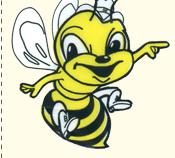 ČEBELARSTVO Čebelarstvo je enoletni izbirni predmet, ki ga lahko obiskujejo učenci 8. in 9. razreda.