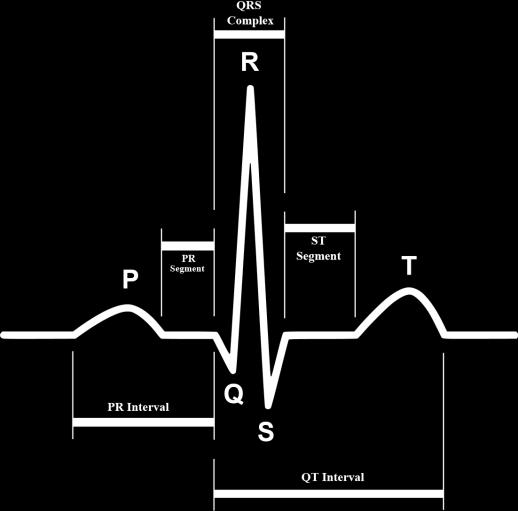 Meritve nestandardnih odvodov signalov EKG Stran 4 Tako so dobili tri točke meritev (obe roki in leva noga), ki se uporabljajo še danes in so znane pod imenom Einthovenov trikotnik.