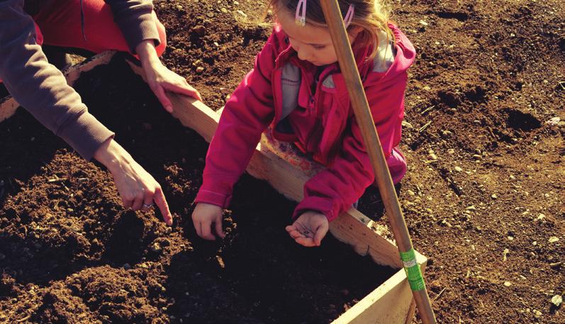 KAKO VRTNARITI Z OTROKOM? Podobno kot pri kuhanju z otroki tudi pri vrtnarjenju velja, da se otroci vseh spretnosti pravega vrtnarja šele učijo.
