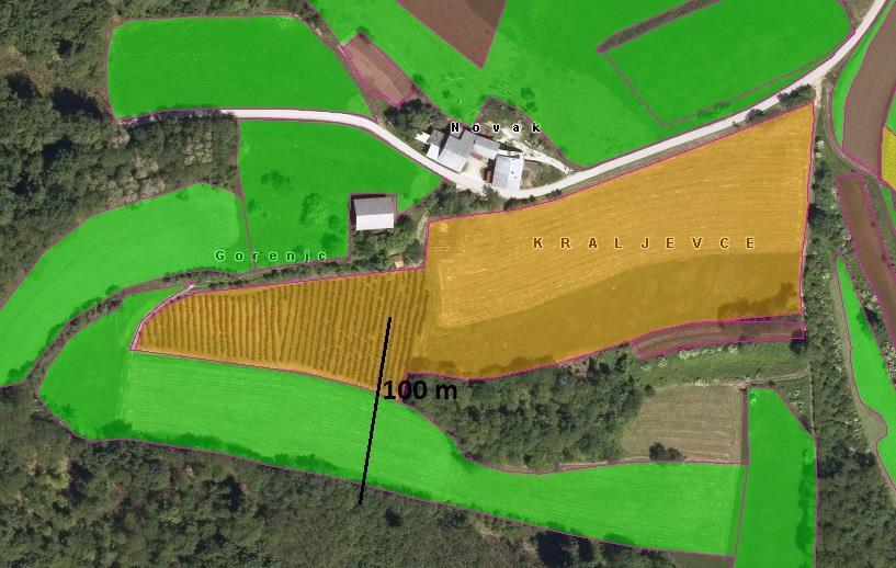33 Slika 40: Ortofoto posnetek nasada na lokaciji Gora (RKG GERK, 2015). Figure 40: Ortofoto picture of plantation in Gora (RKG GERK, 2015). 3.