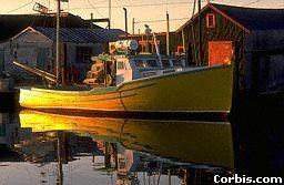 Kanada zavzema majhno procentuažo rib ulovljenih v