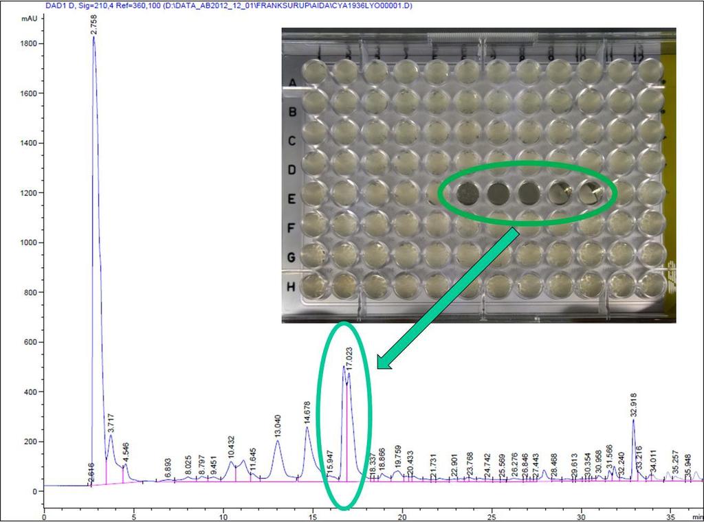 tardicrescens Slika 42: Preparativni RF-UHPLC kromatogram iz ekstrakta glive