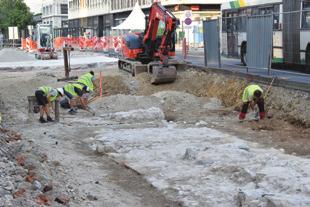 Raziskave, ki so potekale v obliki izkopavanj ter enodnevnega dokumentiranja ob gradnji za potrebe prenove plinovoda na Tavčarjevi ulici, so zajele območje med Dalmatinovo in Trdinovo ulico, ter ob