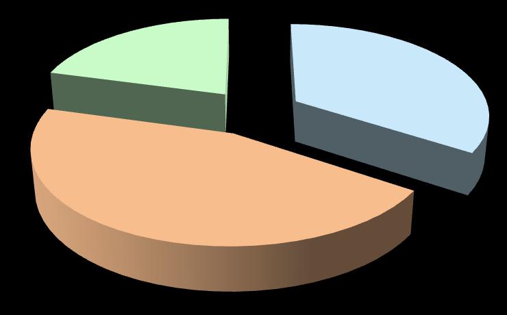 Podatki o lokaciji sončevih peg za vse dneve v letu 2016 so prikazani v tabeli in grafično prikazani s tortnim diagramom.