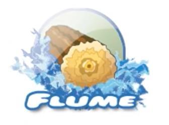 Flume in Sqoop Flume Ekstrakcija podatkov