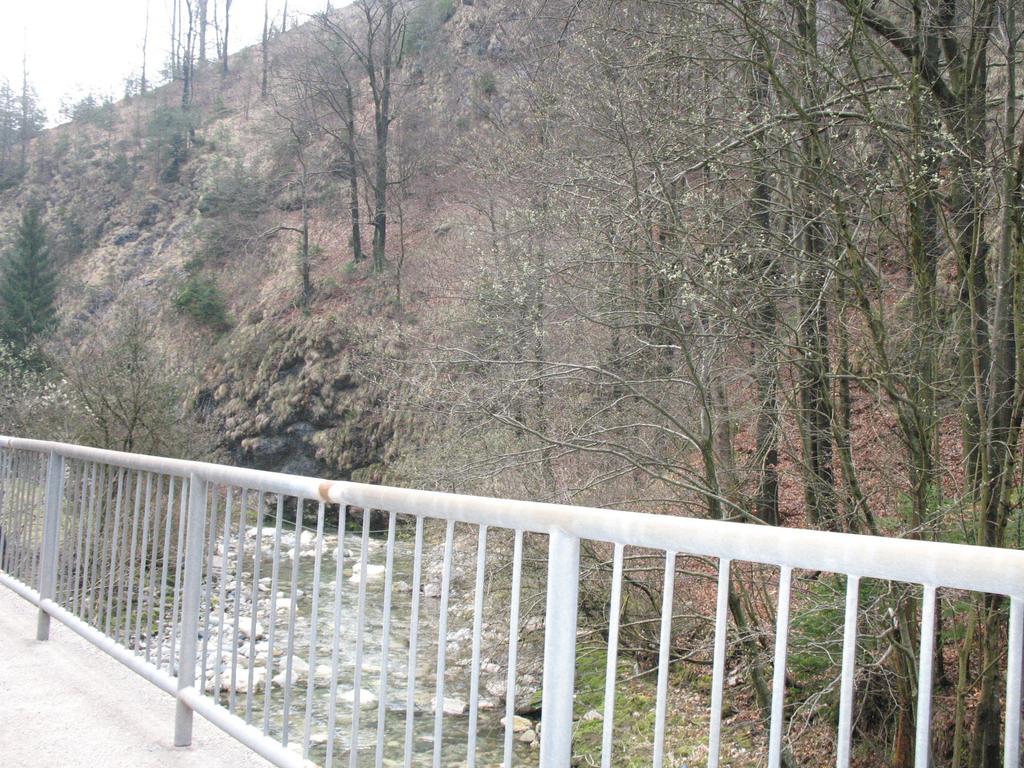 Slika 8: Meža med Črno in Žerjavom Javorski potok izvira iz Lopatovega grabna v Javorju.