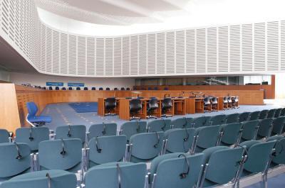 Za Evropsko sodišče za človekove pravice (v nadaljevanju ESČP) v Strasbourgu radi rečejo, da je ţrtev lastnega uspeha.