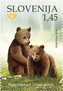 Slovenski medvedi so del velike populacije, ki zajema območje od Vzhodnih Alp v severovzhodni Italiji do gorovja Pindos v Grčiji.