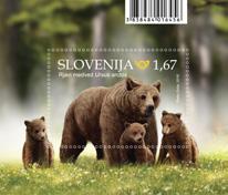 Nekateri medvedi južnejših evropskih populacij so lahko aktivni tudi celo leto. Za medveda je značilna dolga življenjska doba. Najstarejša evidentirana medvedka v Sloveniji je bila stara 21 let.
