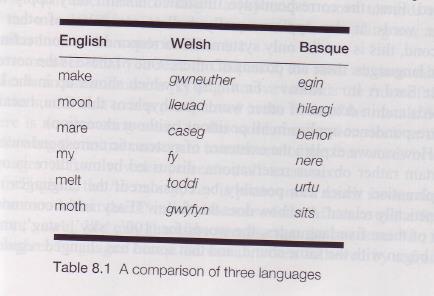 Primer: angleščina in francoščina: veal veau beef bœf pork porc angleščina veliko bolj sorodna z nemščino kot s francoščino; podobnosti s francoščino so omejene le na nekatere dele besedišča,