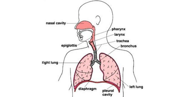 DEFINICIJA Respiratorna fizioterapija je področje fizioterapije, ki