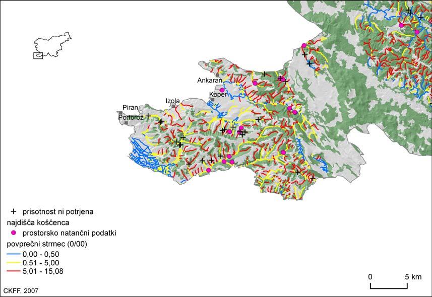 54 Slika 26: Trenutno znana razširjenost koščenca v Istri, mreža potencialnih potokov za koščenca ob upoštevanju
