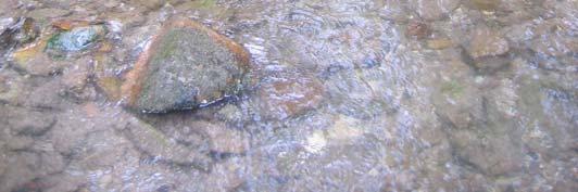 V psci Haloze - vinorodne je bil koščak najden v porečju potoka Ložina.
