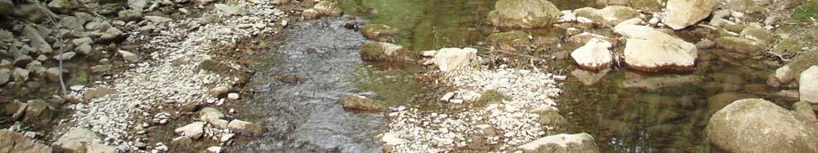 naravnem stanju (slika 52). Dno potoka ima kamnito podlago, s posameznimi velikimi kamni in prodom.