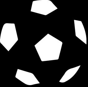 6 kljub temu, da je prikazanih le šest nepovezanih večkotnikov, prepoznamo, da gre za okroglo obliko nogometne žoge. Slika 3.