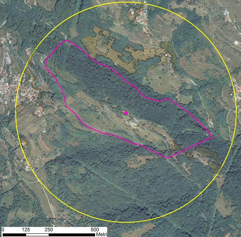 Slika 17: Digitalni ortofoto posnetek širšega Natura 2000 območja Avče z območji predvidene spremembe rabe zemljišč (NRP). 4.3.
